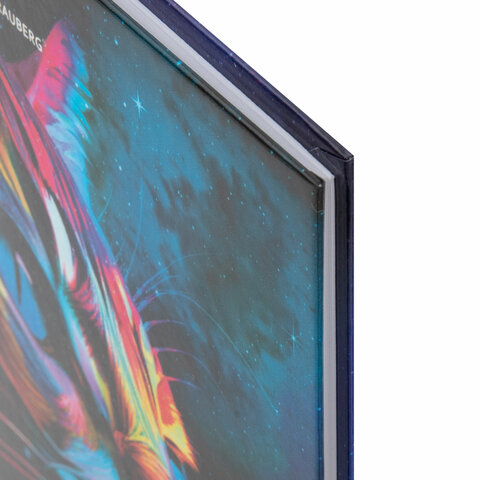 Дневник 5-11 класс 48 л., твердый, BRAUBERG, глянцевая ламинация, с подсказом,