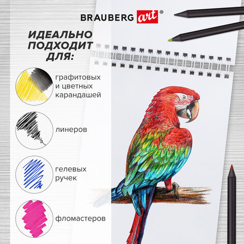 Скетчбук, белая бумага 100 г/м2, 140х201 мм, 60 л., гребень, подложка, BRAUBERG Скетчбук, белая бумага 100 г/м2, 140х201 мм, 60 л., гребень, подложка, BRAUBERG