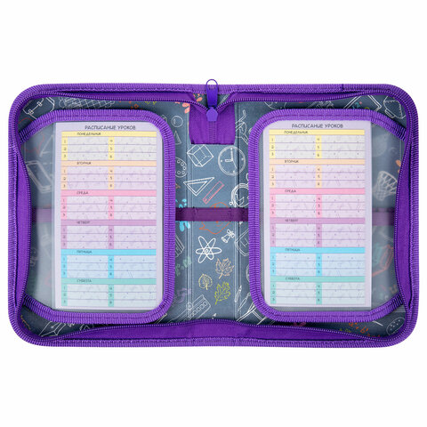 Пенал ПИФАГОР, 1 отделение, 2 откидные планки, полиэстер, 20х14 см, Пенал ПИФАГОР, 1 отделение, 2 откидные планки, полиэстер, 20х14 см,