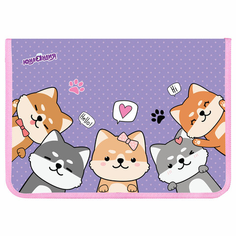 Папка для труда на молнии ЮНЛАНДИЯ А4, 1 отделение, откидная планка, органайзер, Папка для труда на молнии ЮНЛАНДИЯ А4, 1 отделение, откидная планка, органайзер,