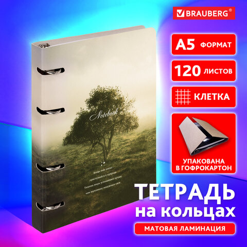 Тетрадь на кольцах А5 160х212 мм, 120 листов, картон, матовая ламинация, клетка, Тетрадь на кольцах А5 160х212 мм, 120 листов, картон, матовая ламинация, клетка,