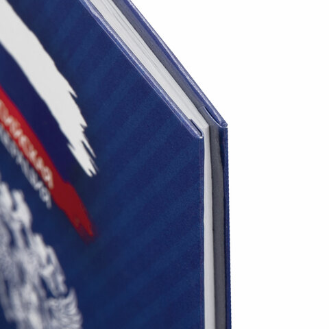 Дневник 1-11 класс 40 л., твердый, BRAUBERG, глянцевая ламинация, Дневник 1-11 класс 40 л., твердый, BRAUBERG, глянцевая ламинация,