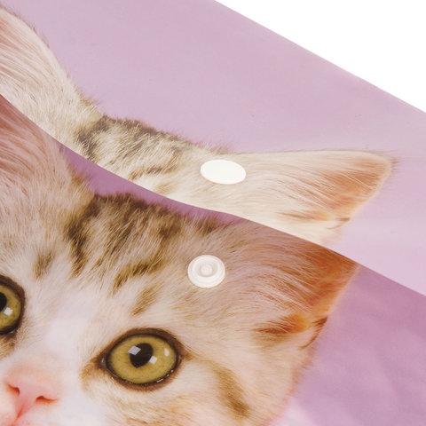 Папка-конверт с кнопкой ЮНЛАНДИЯ "Котенок", А4, 160 мкм, до 100 Папка-конверт с кнопкой ЮНЛАНДИЯ "Котенок", А4, 160 мкм, до 100