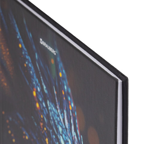 Дневник 5-11 класс 48 л., твердый, BRAUBERG, выборочный лак, с подсказом, Дневник 5-11 класс 48 л., твердый, BRAUBERG, выборочный лак, с подсказом,