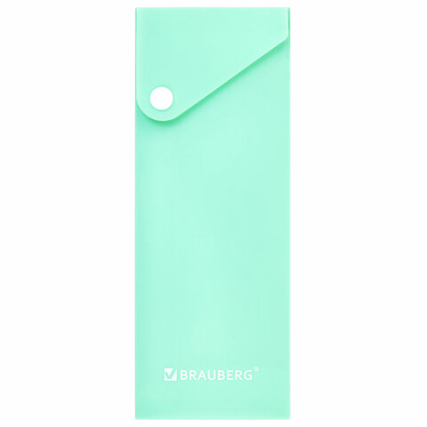 Пенал пластиковый BRAUBERG, 1 отделение, на кнопке, 20x7 см, ассорти,