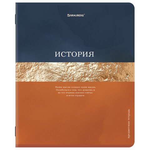 Тетради предметные, КОМПЛЕКТ 12 ПРЕДМЕТОВ, 48 л., матовая ламинация, фольга, Тетради предметные, КОМПЛЕКТ 12 ПРЕДМЕТОВ, 48 л., матовая ламинация, фольга,