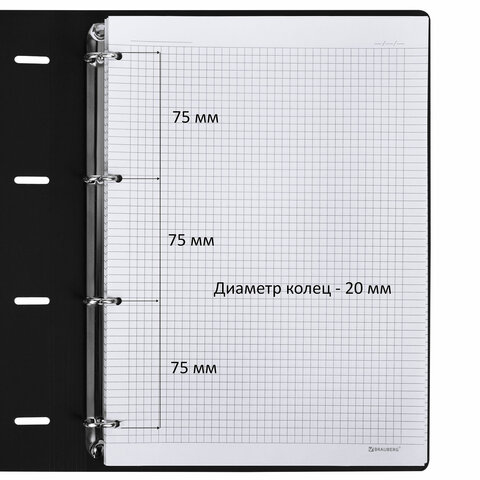 Тетрадь на кольцах БОЛЬШАЯ А4 (240х310 мм), 120 л., под кожу, BRAUBERG VISTA, Тетрадь на кольцах БОЛЬШАЯ А4 (240х310 мм), 120 л., под кожу, BRAUBERG VISTA,