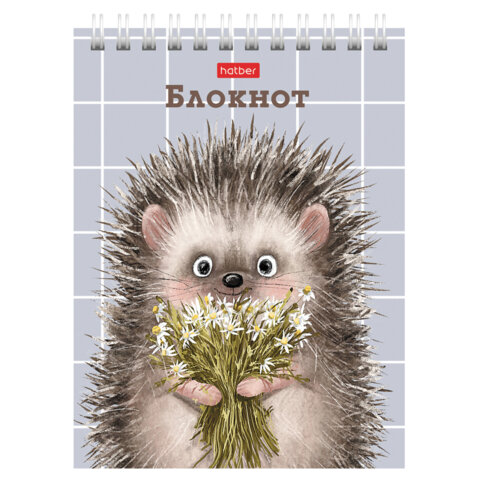 Блокнот МАЛЫЙ ФОРМАТ А6, 40 л., гребень, картон, клетка, HATBER, "Хорошо Блокнот МАЛЫЙ ФОРМАТ А6, 40 л., гребень, картон, клетка, HATBER, "Хорошо