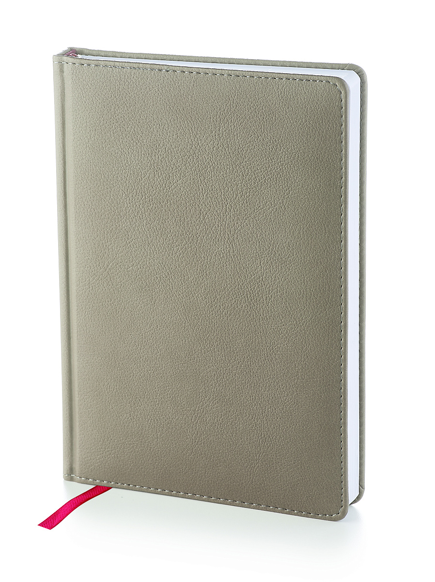 НАБОР ПОДАРОЧНЫЙ А5 "LEADER" (СЕРЫЙ ЕЖЕДНЕВНИК И РУЧКА)