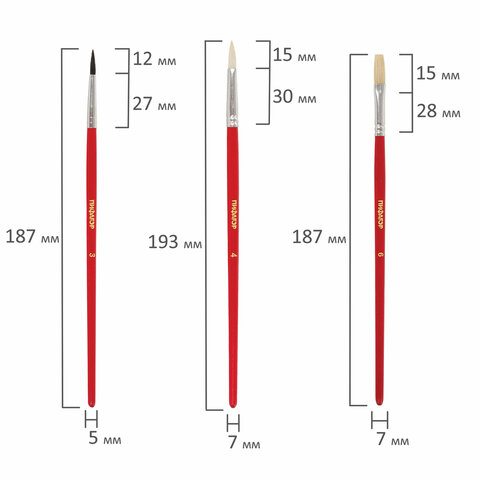 Кисти ПИФАГОР, набор 3 шт. (беличья круглая № 3, коза круглая № 4, из щетины