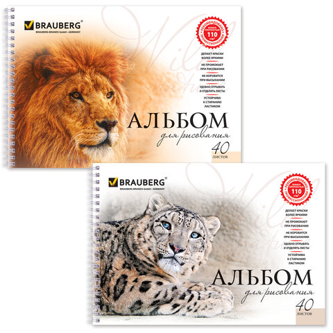 Альбом для рисования, А4, 40 листов, гребень, обложка картон, BRAUBERG, 205х290 Альбом для рисования, А4, 40 листов, гребень, обложка картон, BRAUBERG, 205х290