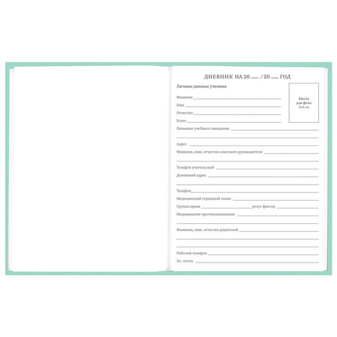 Дневник 5-11 класс 48 л., твердый, BRAUBERG, фольга, с подсказом,