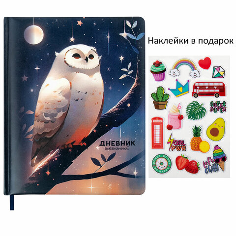 Дневник 1-11 класс 48 л., кожзам (твердая с поролоном), печать, наклейки, Дневник 1-11 класс 48 л., кожзам (твердая с поролоном), печать, наклейки,