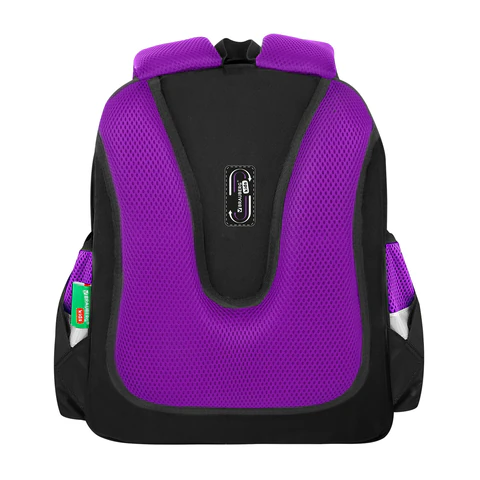 Ранец BRAUBERG KIDS STANDARD, 2 отделения, "Смузи", 36х28х14 см, Ранец BRAUBERG KIDS STANDARD, 2 отделения, "Смузи", 36х28х14 см,