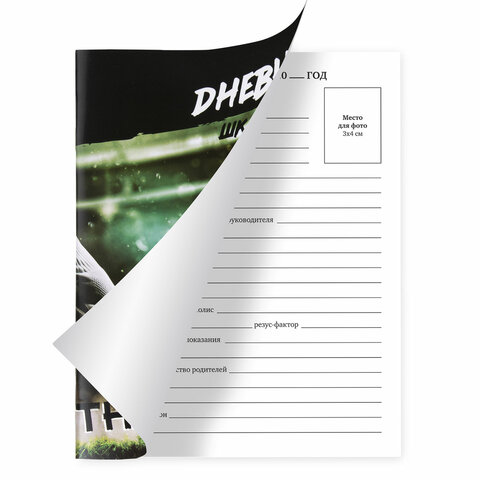 Дневник 1-11 класс 40 л., на скобе, ПИФАГОР, обложка картон, "Футбол",