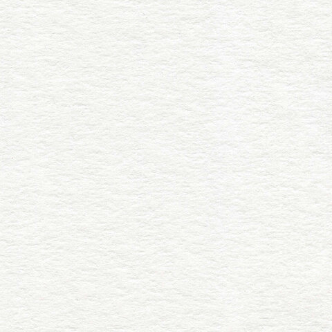 Папка для акварели А4, 20 л., 200 г/м2, BRAUBERG ART, 210х297 мм, "Осенний Папка для акварели А4, 20 л., 200 г/м2, BRAUBERG ART, 210х297 мм, "Осенний