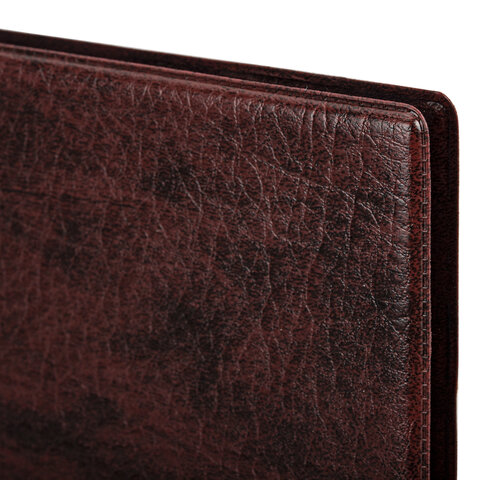 Альбом нумизмата для 240 монет, 125х185 мм, ПВХ, коричневый, STAFF, 238080 Альбом нумизмата для 240 монет, 125х185 мм, ПВХ, коричневый, STAFF, 238080