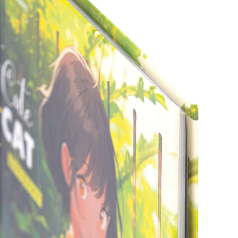 Дневник 1-11 класс 40 л., твердый, BRAUBERG, глянцевая ламинация, "Девочка Дневник 1-11 класс 40 л., твердый, BRAUBERG, глянцевая ламинация, "Девочка