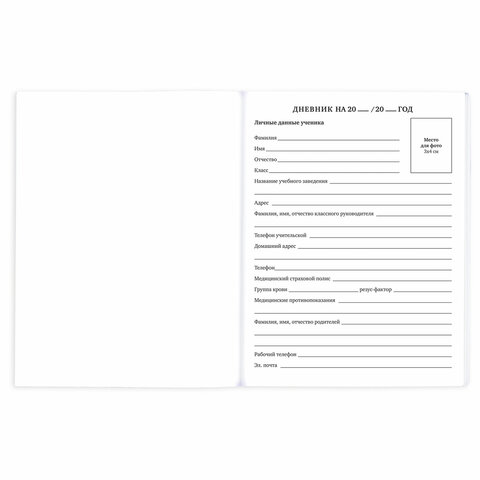 Дневник 1-11 класс 40 л., на скобе, ПИФАГОР, обложка картон, "Футбол",