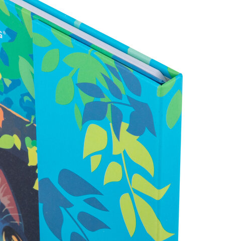 Дневник 1-11 класс 48 л., твердый, BRAUBERG, матовая ламинация, магнитный