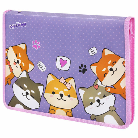 Папка для труда на молнии ЮНЛАНДИЯ А4, 1 отделение, откидная планка, органайзер, Папка для труда на молнии ЮНЛАНДИЯ А4, 1 отделение, откидная планка, органайзер,