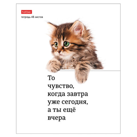 Тетрадь А5 48 л., HATBER скоба, клетка, обложка картон, "Котоюмор"