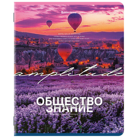 Тетради предметные, КОМПЛЕКТ 13 ПРЕДМЕТОВ, 48 л., обложка картон, BRAUBERG