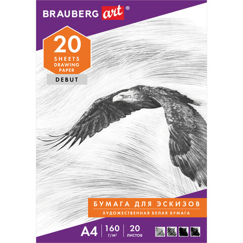 Папка для рисования А4, 20 л., 160 г/м2, BRAUBERG, 210х297 мм, "Орел", Папка для рисования А4, 20 л., 160 г/м2, BRAUBERG, 210х297 мм, "Орел",