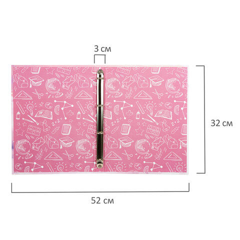 Папка-портфолио школьника "ОТЛИЧНИЦА", 4 кольца, 20 файлов, 10 Папка-портфолио школьника "ОТЛИЧНИЦА", 4 кольца, 20 файлов, 10