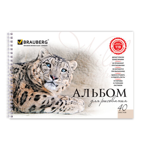 Альбом для рисования, А4, 40 листов, гребень, обложка картон, BRAUBERG, 205х290 Альбом для рисования, А4, 40 листов, гребень, обложка картон, BRAUBERG, 205х290