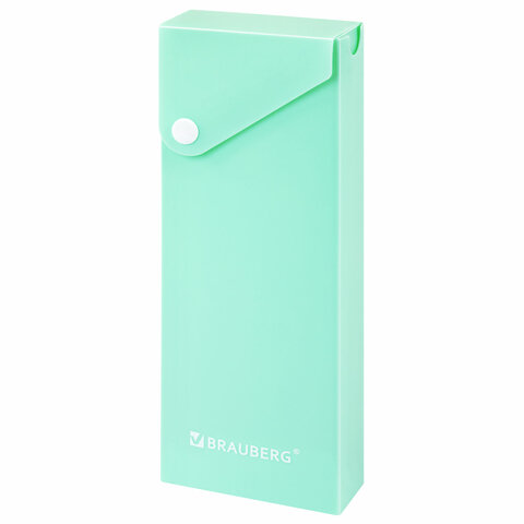 Пенал пластиковый BRAUBERG, 1 отделение, на кнопке, 20x7 см, ассорти,
