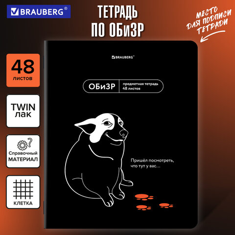 Тетрадь предметная МЕМЫ 48 л., TWIN-лак, ОБиЗР, клетка, подсказки, BRAUBERG, Тетрадь предметная МЕМЫ 48 л., TWIN-лак, ОБиЗР, клетка, подсказки, BRAUBERG,