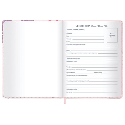 Дневник 1-11 класс 48 л., кожзам (твердая), застежка, BRAUBERG, "Аниме