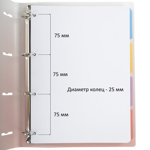 Тетрадь на кольцах БОЛЬШАЯ 305х230мм А4, 120л, пластик, с разделителями, Тетрадь на кольцах БОЛЬШАЯ 305х230мм А4, 120л, пластик, с разделителями,