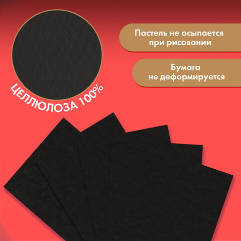 Бумага для пастели ФАКТУРНАЯ, А4, в папке, 15 листов, ЧЕРНАЯ, 270 г/м2, BRAUBERG