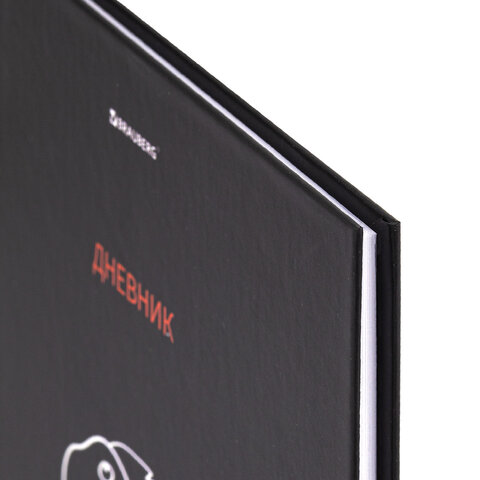 Дневник 5-11 класс 48 л., твердый, BRAUBERG, матовая ламинация, с подсказом,