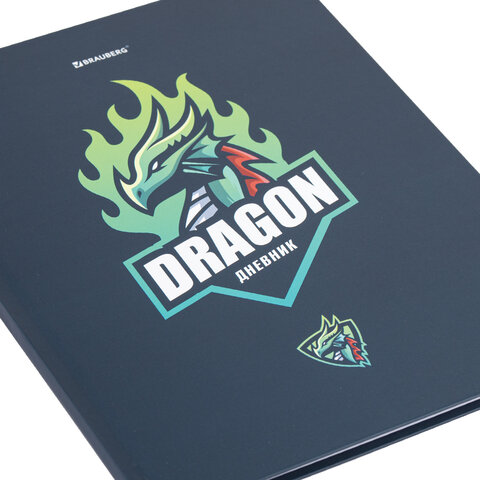 Дневник 1-11 класс 40 л., твердый, BRAUBERG, матовая ламинация,