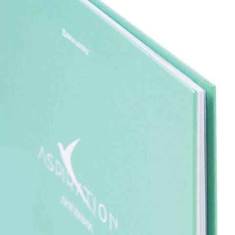 Дневник 5-11 класс 48 л., твердый, BRAUBERG, фольга, с подсказом,