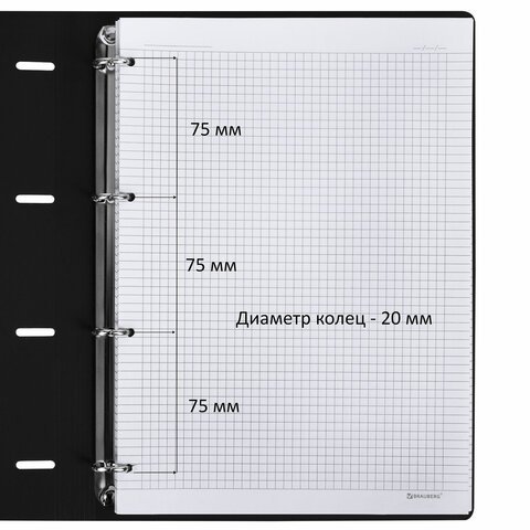 Тетрадь на кольцах БОЛЬШАЯ А4 (240х310 мм), 120 л., под кожу, BRAUBERG VISTA, Тетрадь на кольцах БОЛЬШАЯ А4 (240х310 мм), 120 л., под кожу, BRAUBERG VISTA,