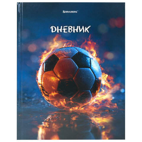 Дневник 1-4 класс 48 л., твердый, BRAUBERG, глянцевая ламинация, с подсказом,