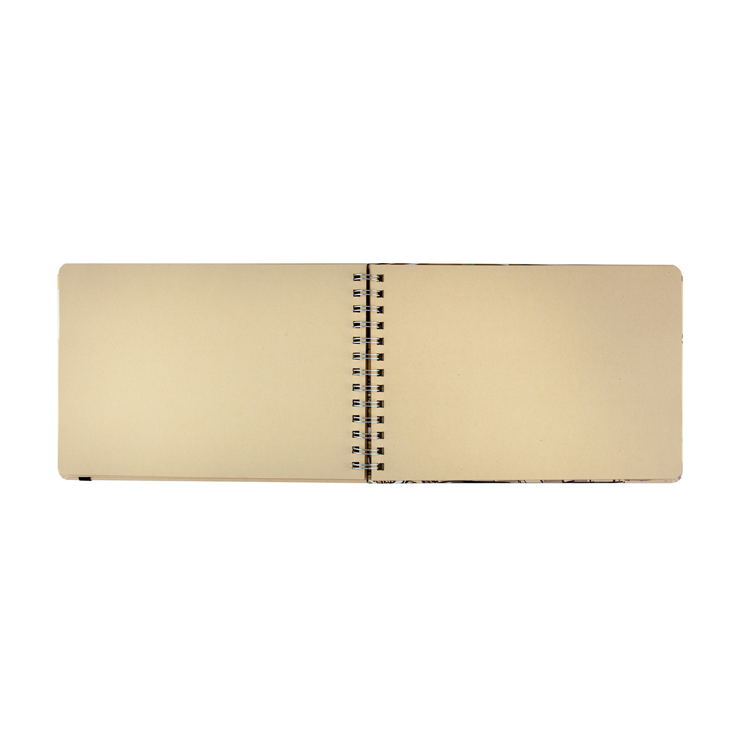 SKETCHBOOK BV, 180х260 мм, 60Л, КРАФТ 100 гр, НА ГРЕБНЕ (4 ВИДА)