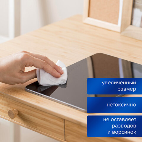 Чистящие салфетки BRAUBERG для LCD (ЖК)-мониторов, сухие и влажные в тубе, 50+50 Чистящие салфетки BRAUBERG для LCD (ЖК)-мониторов, сухие и влажные в тубе, 50+50