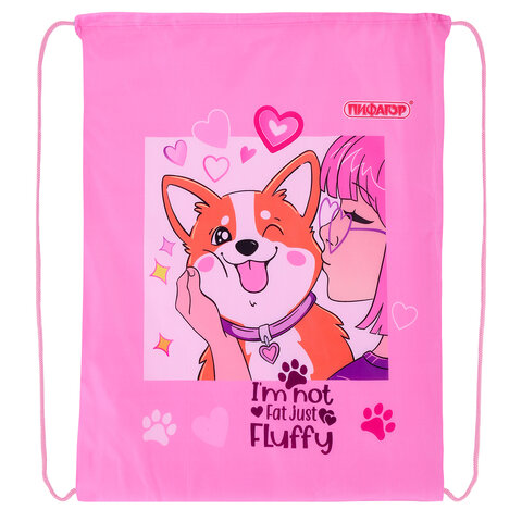 Мешок для обуви ПИФАГОР, 1 отделение, 42х34 см, "Fluffy akita", 272385 Мешок для обуви ПИФАГОР, 1 отделение, 42х34 см, "Fluffy akita", 272385