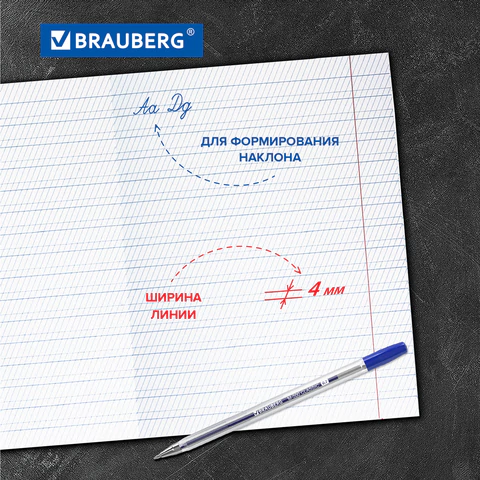 Тетради ДЭК 12 л. КОМПЛЕКТ 10 шт. BRAUBERG КЛАССИКА NEW, частая косая линия, Тетради ДЭК 12 л. КОМПЛЕКТ 10 шт. BRAUBERG КЛАССИКА NEW, частая косая линия,