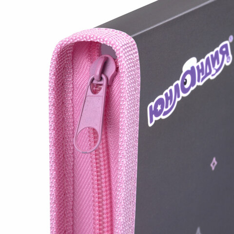 Папка для труда на молнии ЮНЛАНДИЯ А4, 1 отделение, откидная планка, органайзер, Папка для труда на молнии ЮНЛАНДИЯ А4, 1 отделение, откидная планка, органайзер,