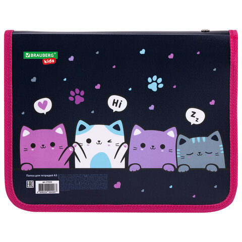 Папка для тетрадей BRAUBERG KIDS А5, 1 отделение, пластик, молния вокруг,