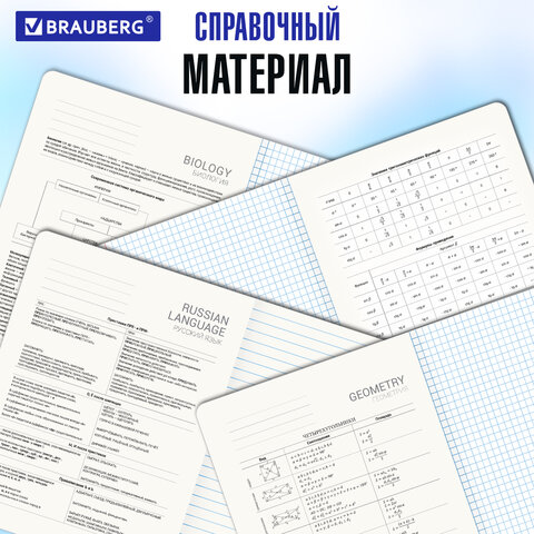 Тетради предметные, КОМПЛЕКТ 12 ПРЕДМЕТОВ, "DOG БОБИК", 48 л., Тетради предметные, КОМПЛЕКТ 12 ПРЕДМЕТОВ, "DOG БОБИК", 48 л.,