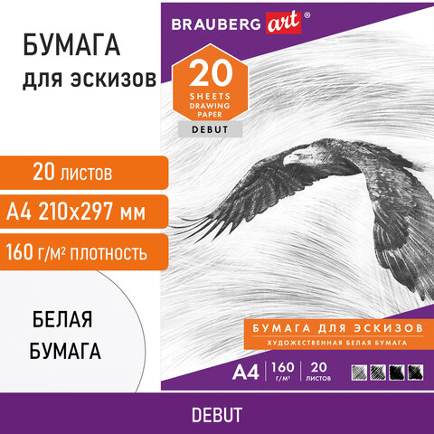 Папка для рисования А4, 20 л., 160 г/м2, BRAUBERG, 210х297 мм, "Орел", Папка для рисования А4, 20 л., 160 г/м2, BRAUBERG, 210х297 мм, "Орел",