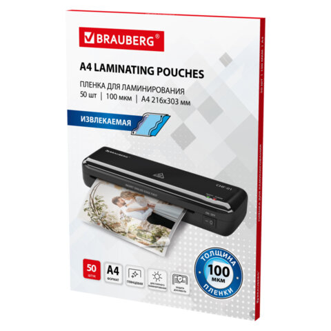 Пленки-заготовки для ламинирования ИЗВЛЕКАЕМЫЕ А4, КОМПЛЕКТ 50 шт., 100 мкм, Пленки-заготовки для ламинирования ИЗВЛЕКАЕМЫЕ А4, КОМПЛЕКТ 50 шт., 100 мкм,