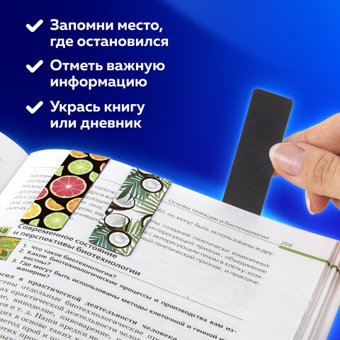 Закладки для книг МАГНИТНЫЕ, "FRUITS", набор 6 шт., 60x20 мм, Закладки для книг МАГНИТНЫЕ, "FRUITS", набор 6 шт., 60x20 мм,